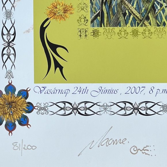 MINT Tori Amos Budapest 2007 by Macrae/Ulysses, S&N and Doodled by Macrae, 21x17 - Picture 7 of 9